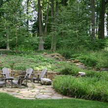 frontyard