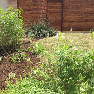 Lake Highlands Modern Landscape