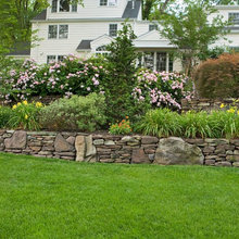 Landscaping front yard