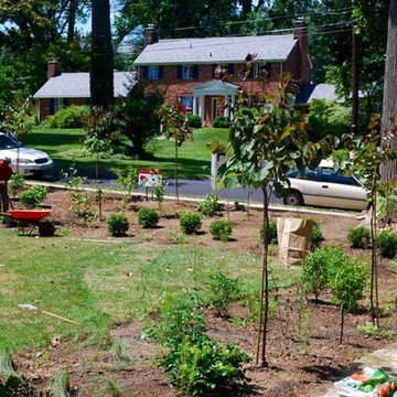 North Arlington VA - Front Yard