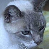 Clara Randle's photo
