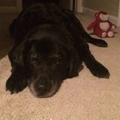 Julie Molinari's photo