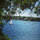 stacey_maske