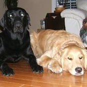 Anthony Tumm's photo