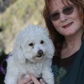 Nancy Pharis's photo