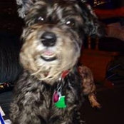 Robin Ketchum's photo