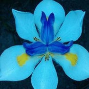 Melissa Morse's photo