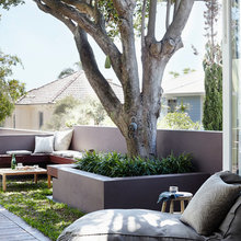 Landscape Ideas