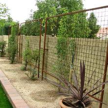 Privacy Landscape