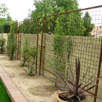 Custom Steel Trellises