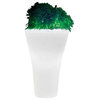 Ming Lighted Indoor-Outdoor Planter, Led