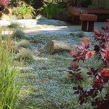 Ground Covers