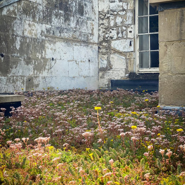 Caroline Buildings