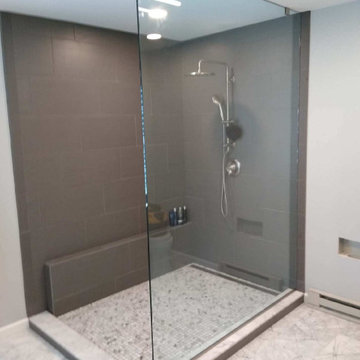 Frameless Glass Shower Gallery