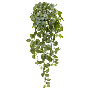 36" Fittonia Hanging Bush Artificial Plant, Set of 2, Real Touch