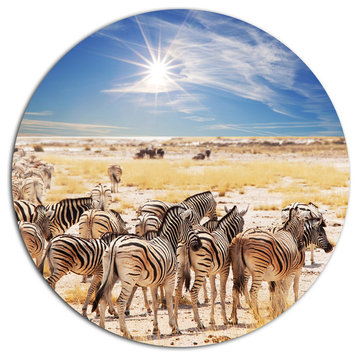Beautiful Herd Of Zebra On Bright Day, African Round Metal Artwork, 11"