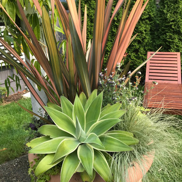 Mediterranean Garden in Tsawwassen