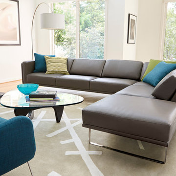 Living Rooms