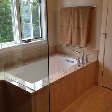 Eagan Master Bath Renovation