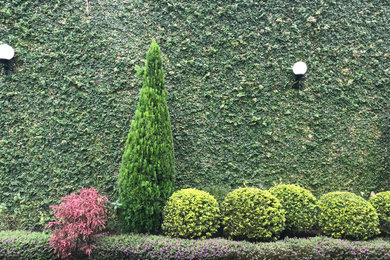 Inspiration for a landscaping in Other.
