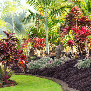 Tropical backyard plant ideas