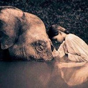 Denise Mankewitz Foster's photo