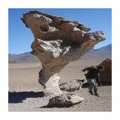 Stuart Alexander's photo