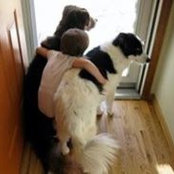 Jason Siegfreid's photo