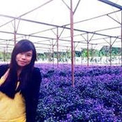 ChinChin Goh's photo