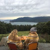 Tara Leaf's photo