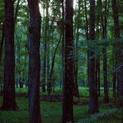 Aaron Spesard's photo