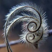 Ramona Collins's photo