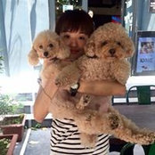 Reyn Teng's photo