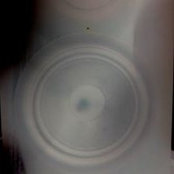 Michael Mundt's photo
