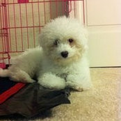 Gloria Hung's photo