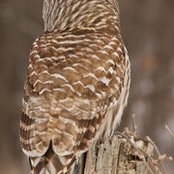 Cynthia Prideaux's photo
