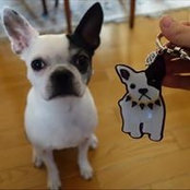 Jenny Han's photo