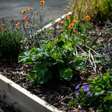 Thornbury: Front Garden Renovation