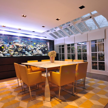 Aquarium Architecture