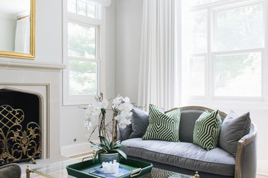 Living room - transitional living room idea in Chicago