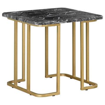 Furniture of America Clotten Contemporary Metal End Table in Black