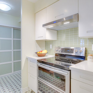 North York Condo Kitchen