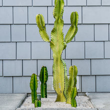 Patio of the Week: Diana (need to reach out)
