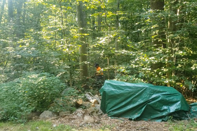 Photo of a large contemporary backyard landscaping in Bridgeport.