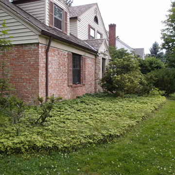 Shaker Hts.
