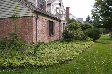 Inspiration for an eclectic home design remodel in Cleveland
