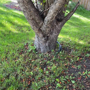 Hemlock Bark Mulch