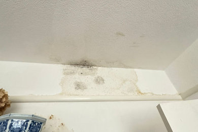 Leak Detection Case Study N14
