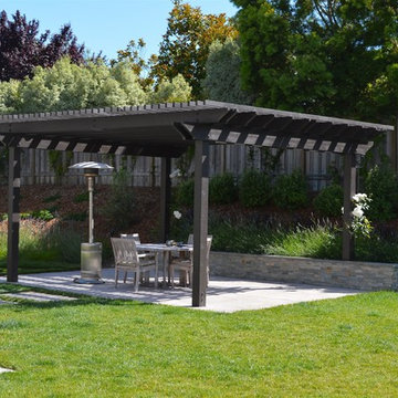 -Petaluma Back Yard Garden-