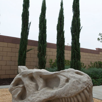 T-Rex Skull Climber